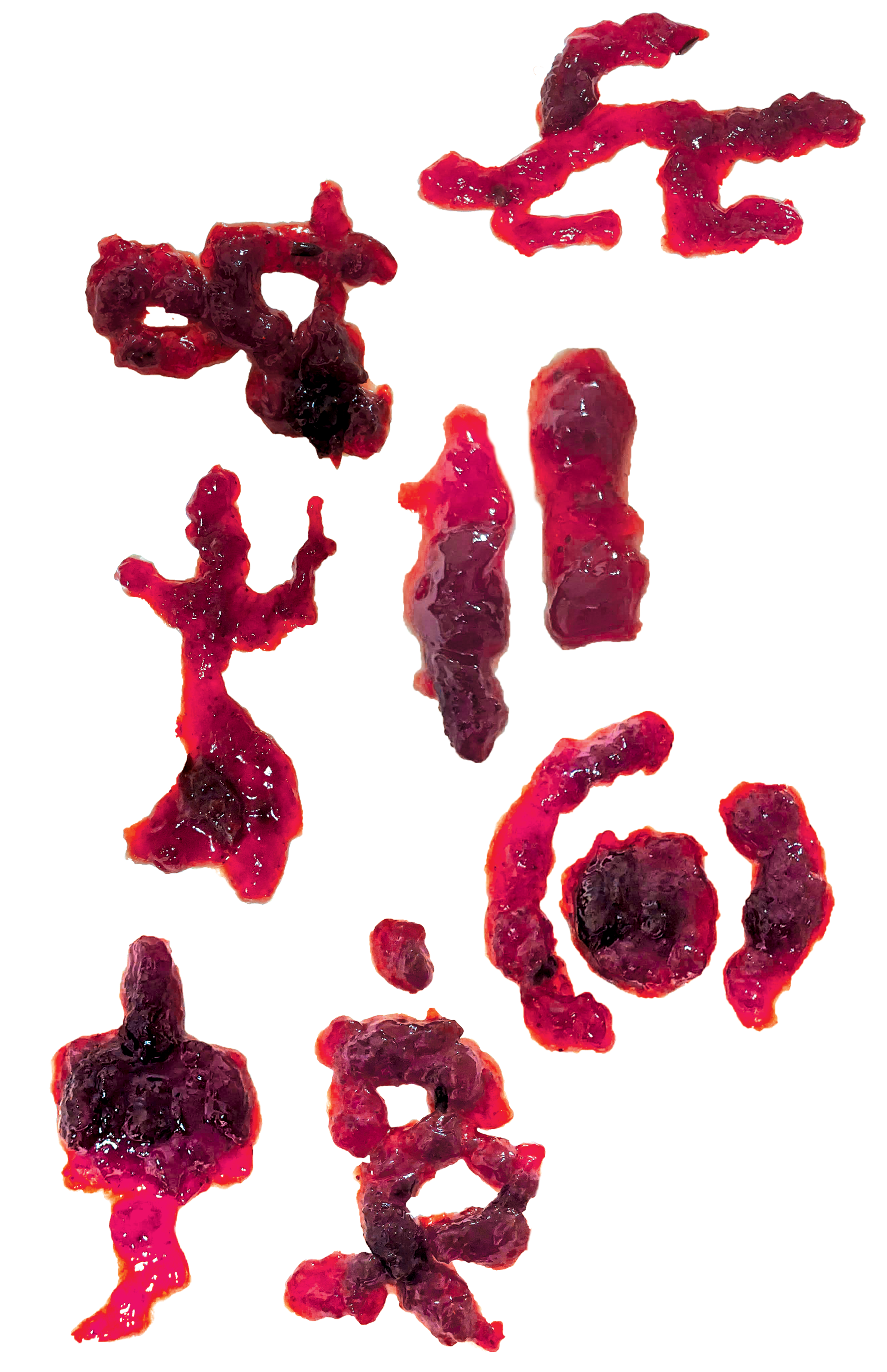Image of Julia Ettkin's Jelly Universe project for Imagined Genesis, showing glyphs made with jelly